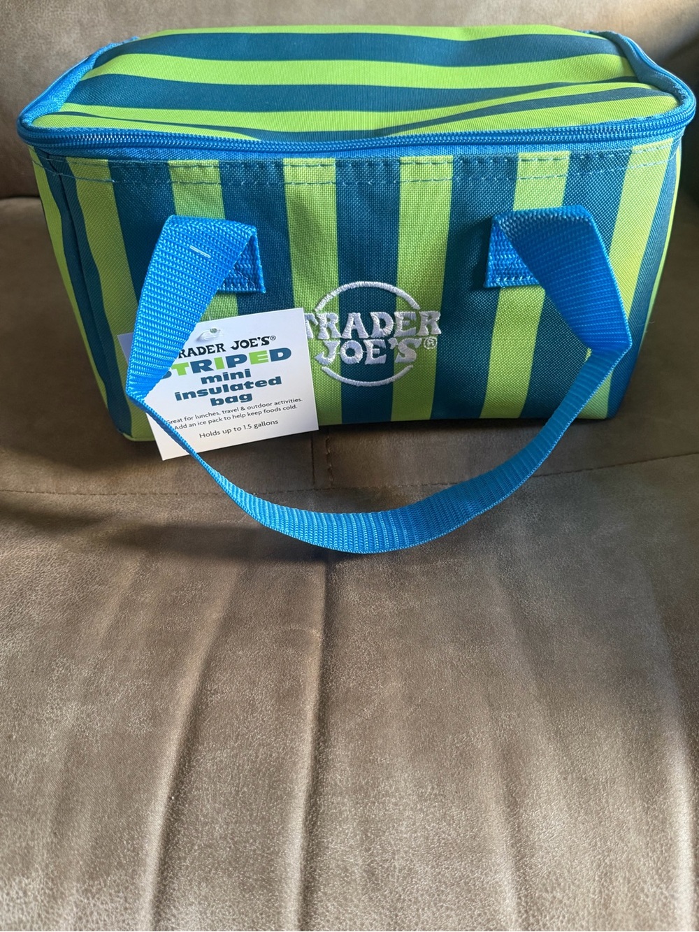 Trader Joe's Green & Blue Striped Insulated Lunch Bag